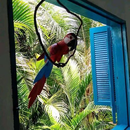 فيلا Casa Ilhabela A Cinco Minutos Do Centro المظهر الخارجي الصورة