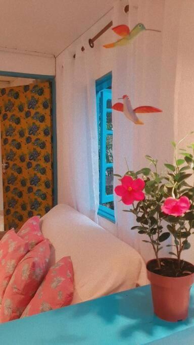 فيلا Casa Ilhabela A Cinco Minutos Do Centro المظهر الخارجي الصورة